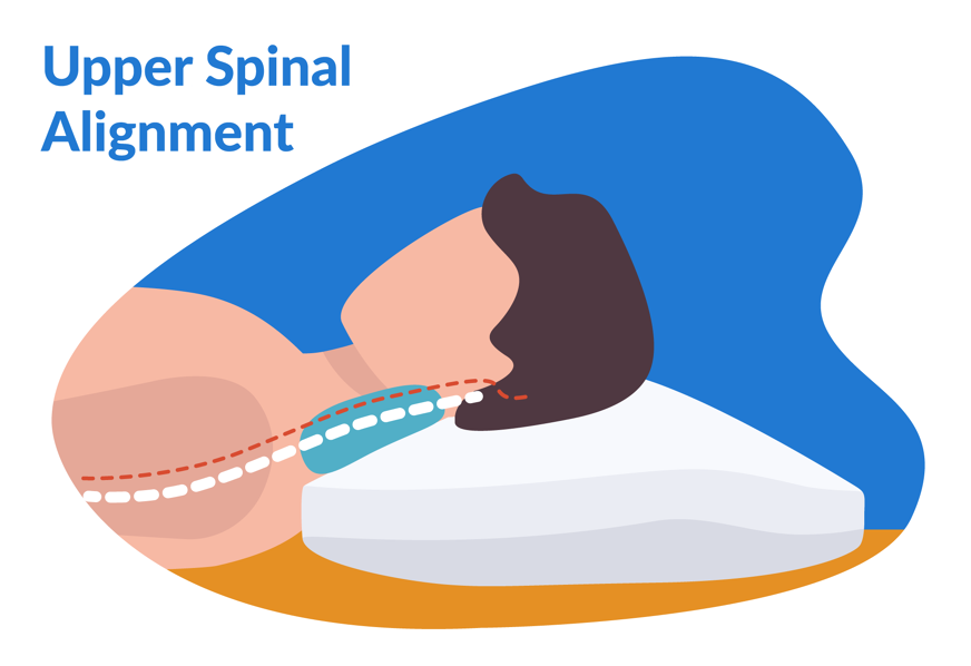 Upper spinal alignment